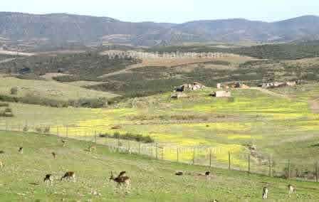 The unforgettable scenery of the Guadiana region