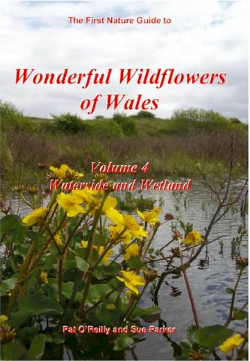 Wonderful Wildflowers of Wales Vol4