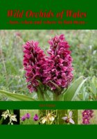 Wild Orchids of Wales, how, when and where to find them