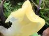 Spathularia flavida, Yellow Fan