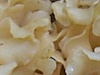 Sparassis crispa - Wood cauliflower