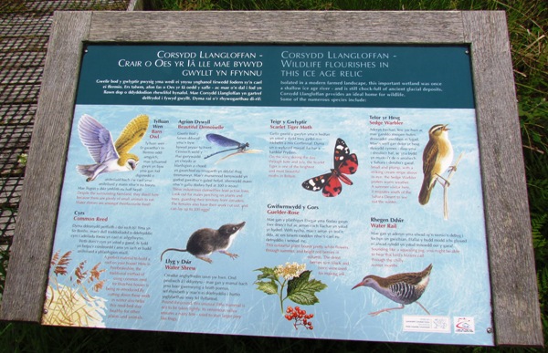 One of the information boards at Llangloffan Fen