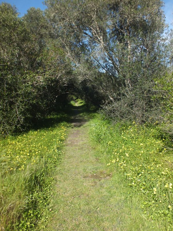 A peaceful walk in the Algarve countryside
