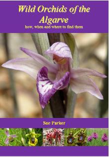 Wild Orchids of the Algarve - how, when and where to find them