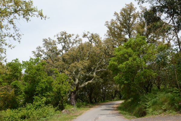 Access to mounntain walks is easy from the main roads.