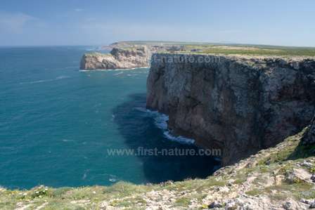 The magnificent scenery at Cape St Vincent