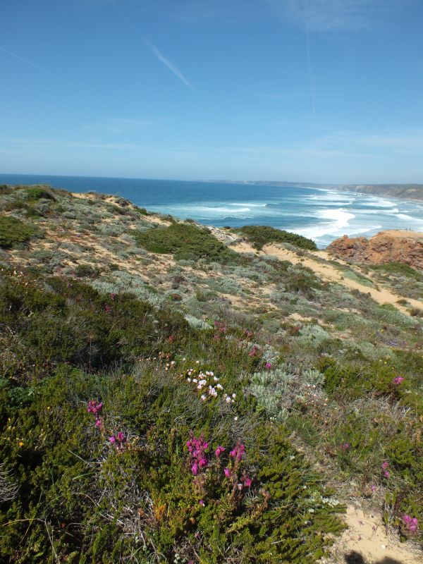 The coast at Carrapateira
