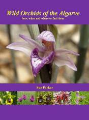 Wild Orchids of the Algarve - how, when and where to find them, by Sue Parker