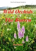 Wild Orchids in The Burren, by Sue Parker