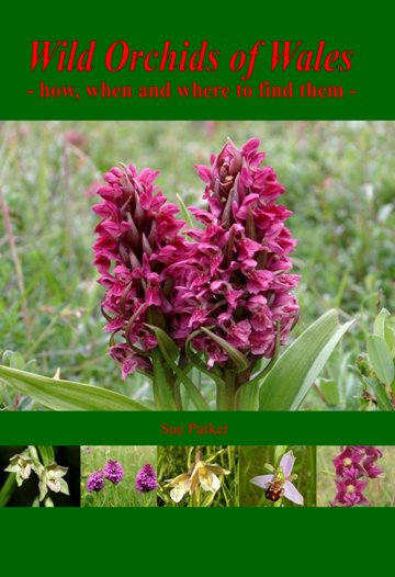 New orchid book