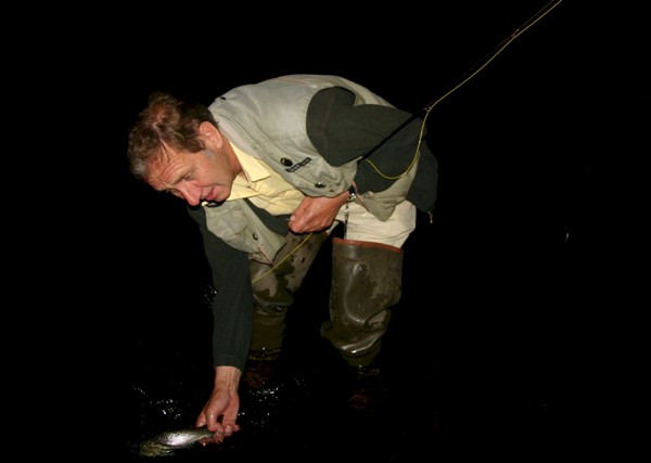 A Sea Trout is released at night