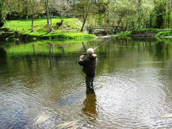 The sweep of the sinlgle spey cast