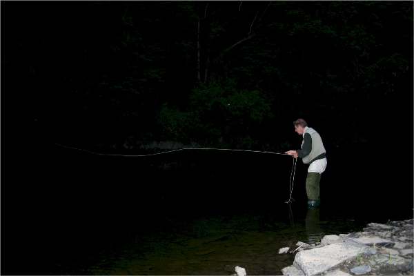 Sea trout fishing at dusk on the River Teifi