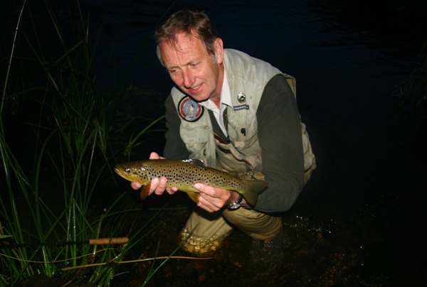 Brown trout from the River Boyne