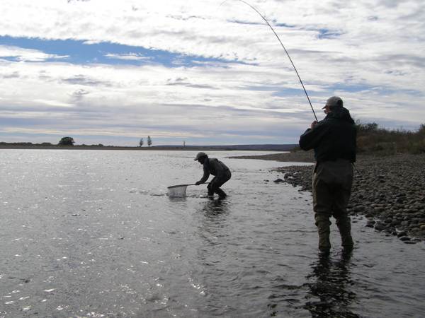 Trout fishing on the Limay River, Patagonia