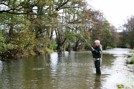 Sue Parker fishing on the River Teme in autumn