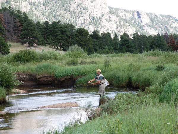 Pete Kassab fishing the Fall River in Rocky Mountain National Park