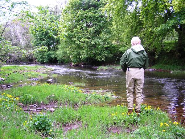 The upper Usk in springtime