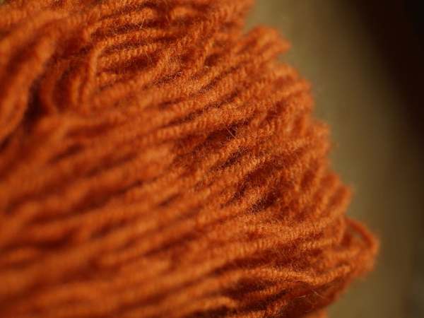 Wool dyed using Cortinarius semisanguineus