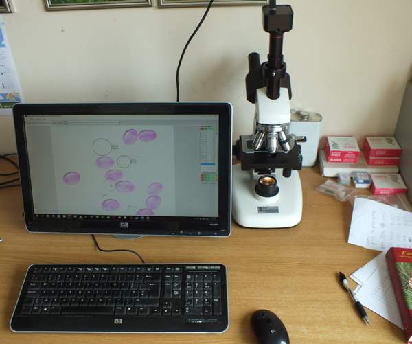 Compound microscope suitable for studying fungi