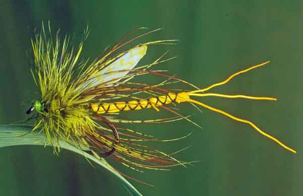 Artificial Mayfly tied by Peter Masters
