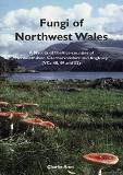 Fungi of Northwest Wales
