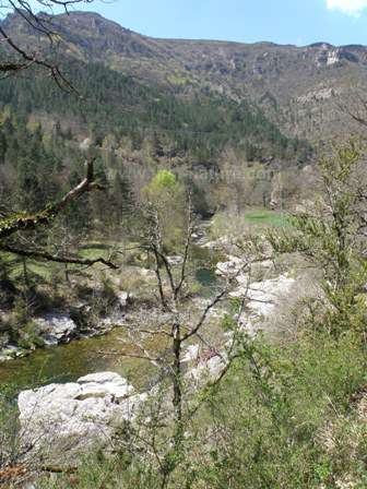 The Tarn Gorge in the Cevennes National Park