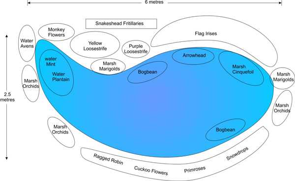 Pond plan