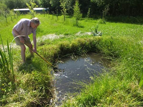 Neglected pond being cleared of weed
