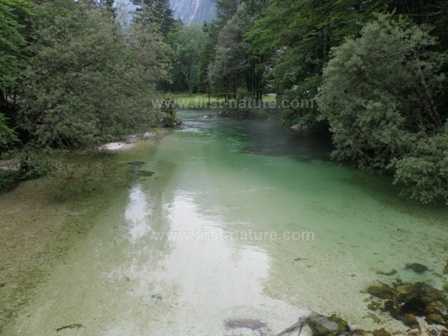 A river in Slovenia